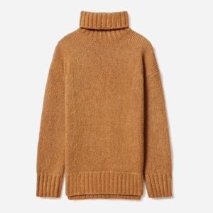 Everlane The Cloud Chunky Turtleneck Sweater S